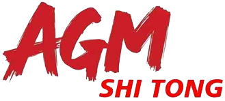 AGM SHINGTON S.A DE C.V